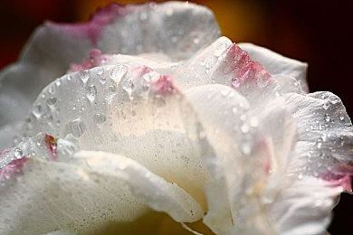 韩国游戏展Gstar 2022将正常举办 11月登场